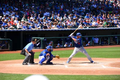 DSC_1765 (Large).JPG